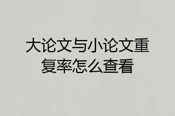 大论文与小论文重复率怎么查看