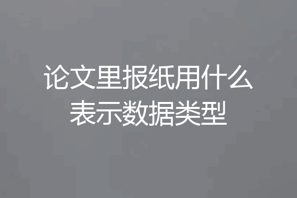 论文里报纸用什么表示数据类型