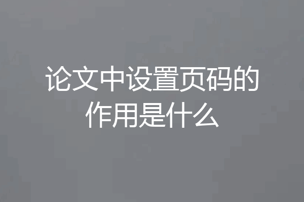 论文中设置页码的作用是什么
