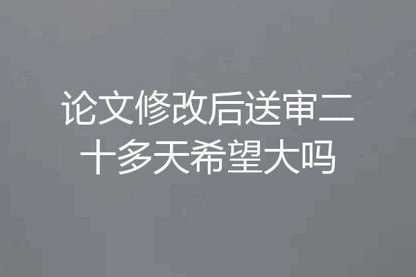 论文修改后送审二十多天希望大吗