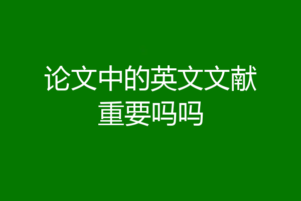 论文中的英文文献重要吗吗