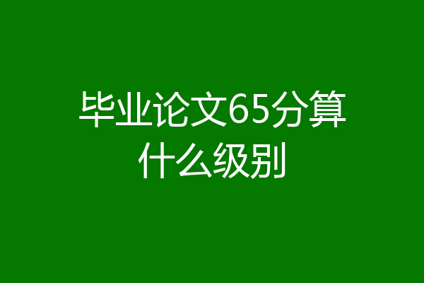 毕业论文65分算什么级别