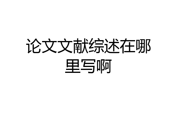 论文文献综述在哪里写啊