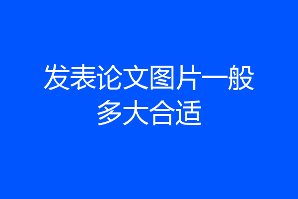 发表论文图片一般多大合适