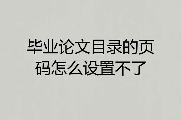 毕业论文目录的页码怎么设置不了