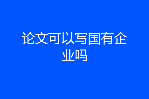 论文可以写国有企业吗