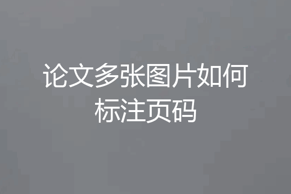 论文多张图片如何标注页码
