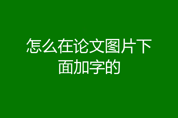 怎么在论文图片下面加字的