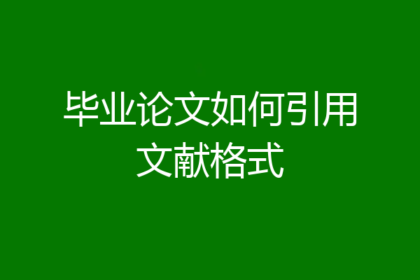 毕业论文如何引用文献格式