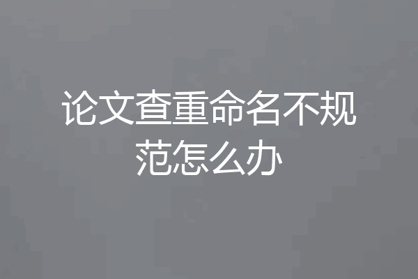 论文查重命名不规范怎么办