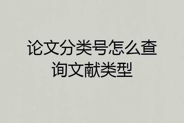 论文分类号怎么查询文献类型