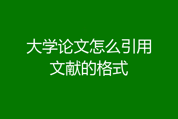 大学论文怎么引用文献的格式
