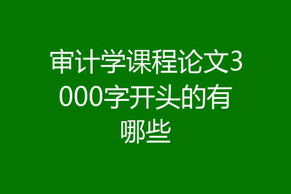审计学课程论文3000字开头的有哪些