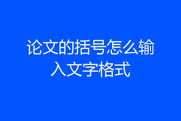 论文的括号怎么输入文字格式