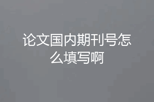 论文国内期刊号怎么填写啊