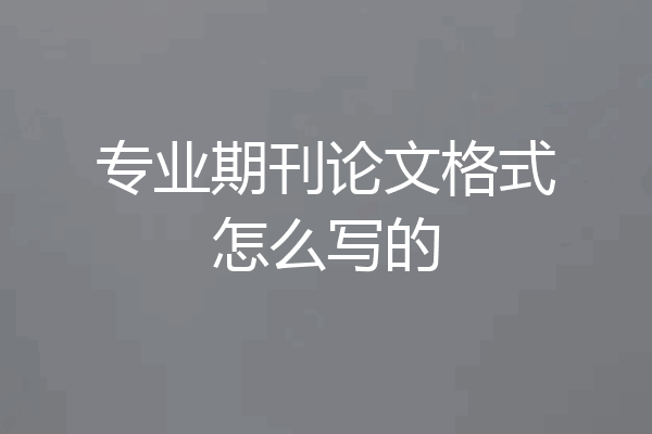 专业期刊论文格式怎么写的