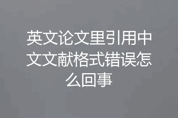 英文论文里引用中文文献格式错误怎么回事