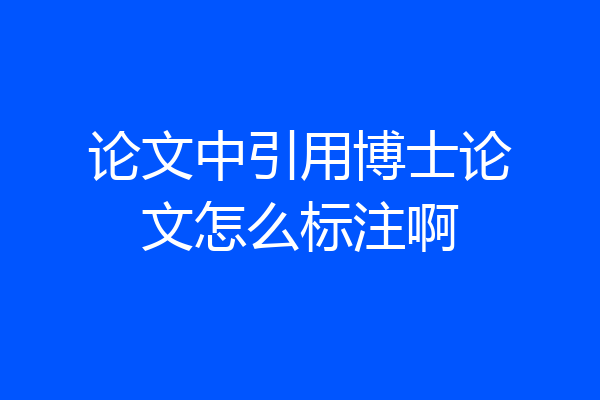 论文中引用博士论文怎么标注啊