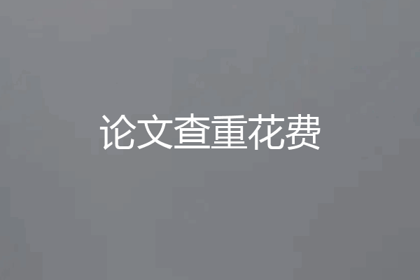 论文查重花费