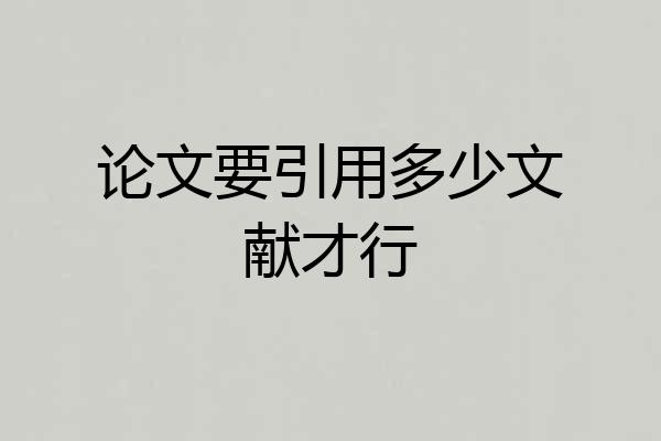 论文要引用多少文献才行