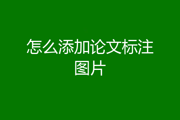 怎么添加论文标注图片