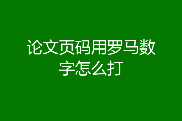 论文页码用罗马数字怎么打