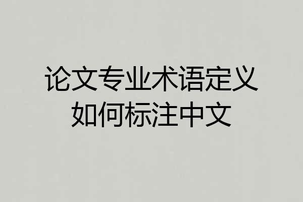 论文专业术语定义如何标注中文