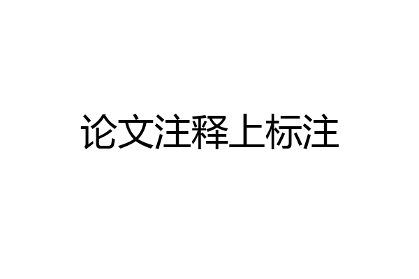 论文注释上标注