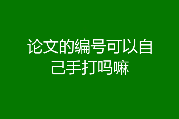 论文的编号可以自己手打吗嘛