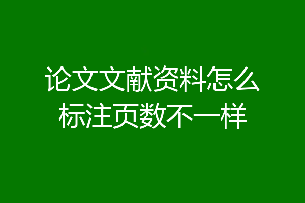 论文文献资料怎么标注页数不一样