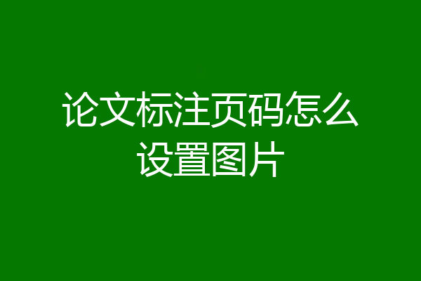 论文标注页码怎么设置图片