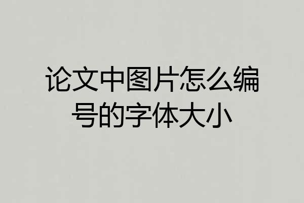 论文中图片怎么编号的字体大小