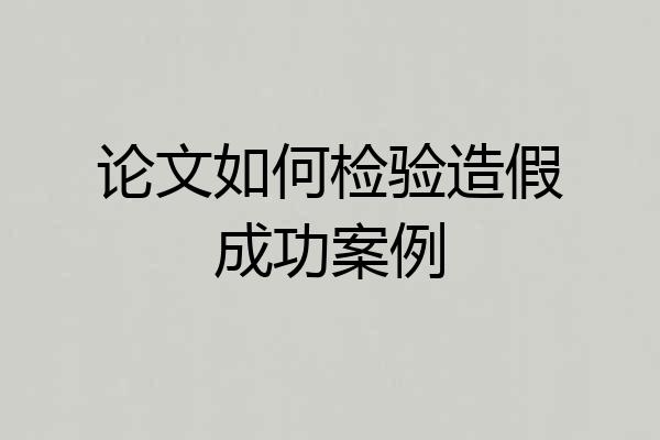 论文如何检验造假成功案例