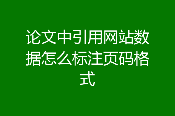 论文中引用网站数据怎么标注页码格式