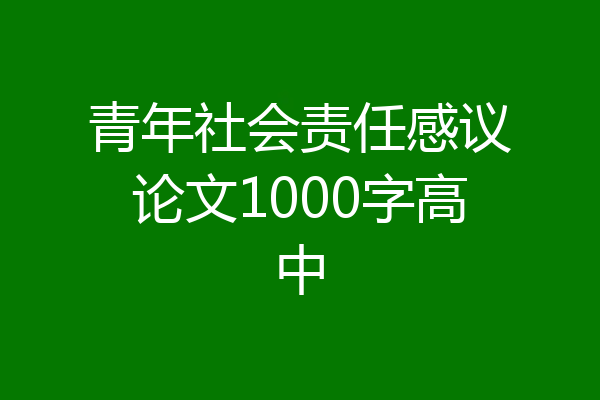 青年社会责任感议论文1000字高中