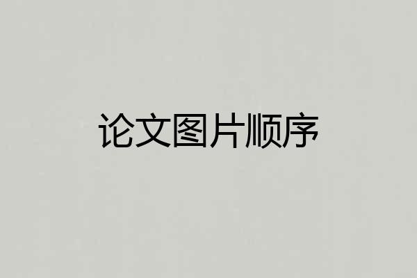 论文图片顺序
