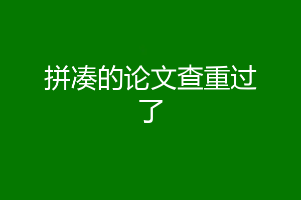 拼凑的论文查重过了