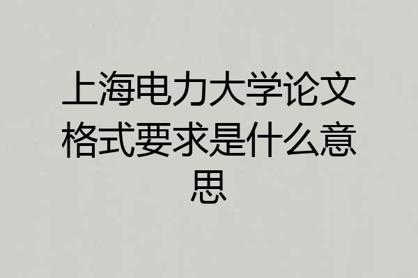 上海电力大学论文格式要求是什么意思