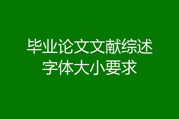 毕业论文文献综述字体大小要求