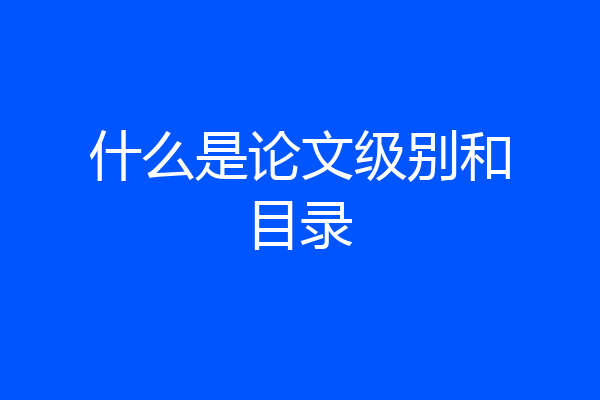 什么是论文级别和目录