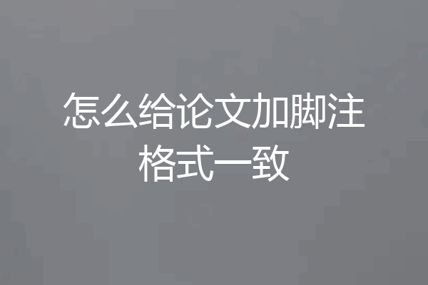 怎么给论文加脚注格式一致