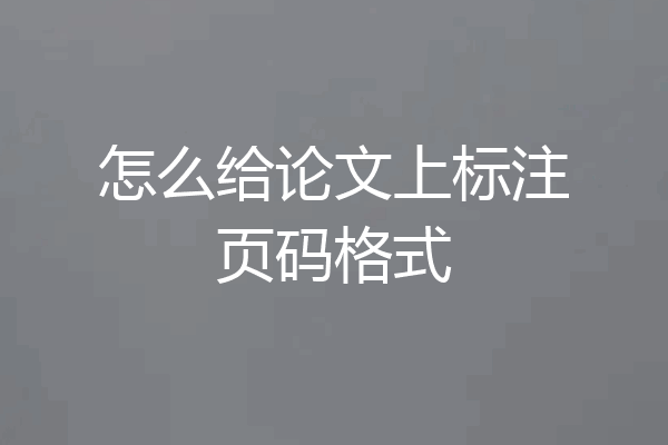 怎么给论文上标注页码格式