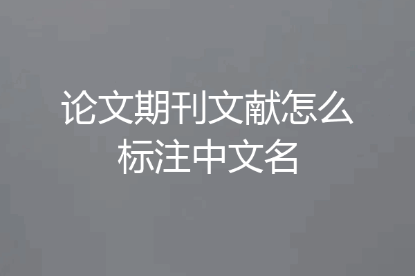 论文期刊文献怎么标注中文名