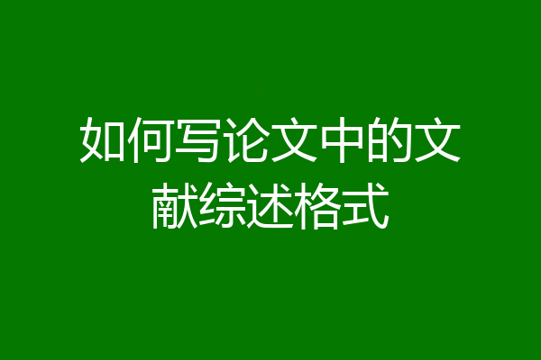 如何写论文中的文献综述格式