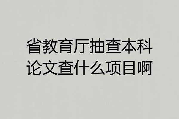 省教育厅抽查本科论文查什么项目啊