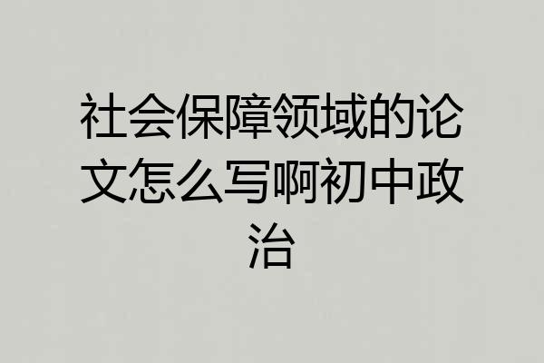 社会保障领域的论文怎么写啊初中政治