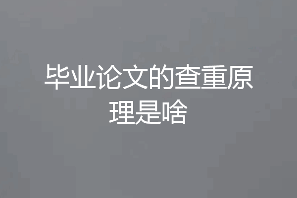 毕业论文的查重原理是啥