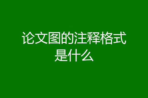 论文图的注释格式是什么
