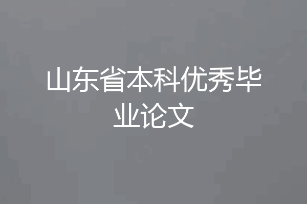 山东省本科优秀毕业论文