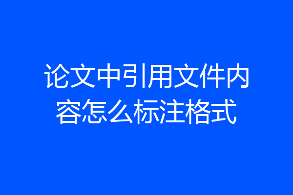 论文中引用文件内容怎么标注格式